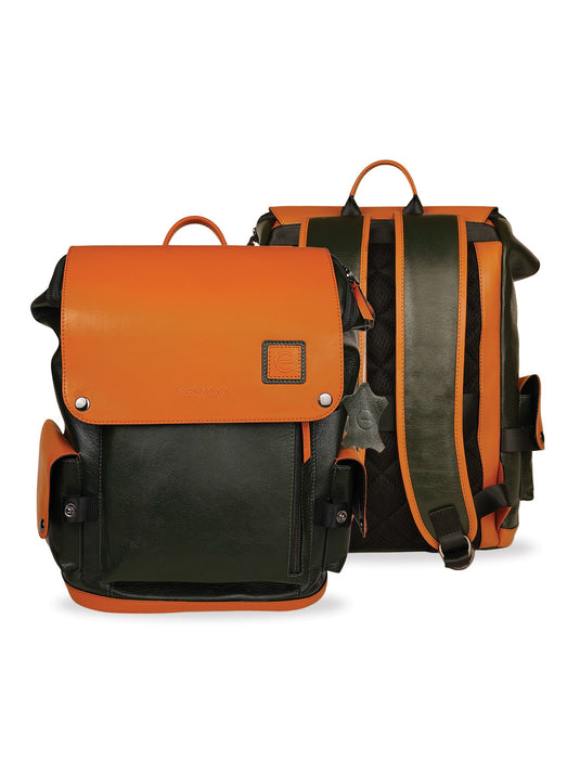 Modern Multicolor Backpack - Stylish & Spacious